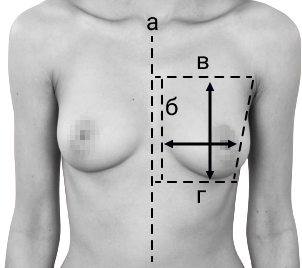 Методика измерения груди